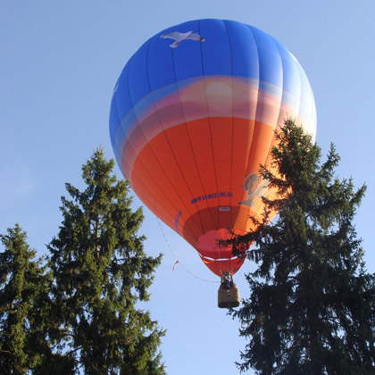 воздушный шар над лесом